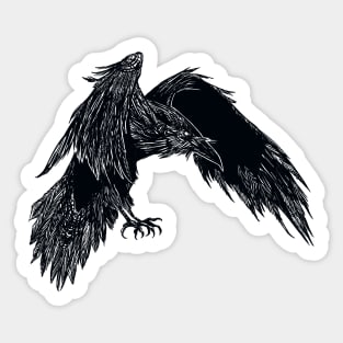 Sketchy Raven Sticker